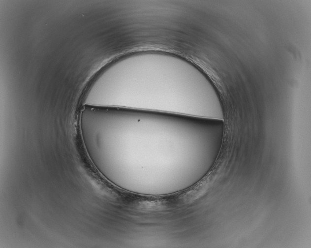 X0000111140160200906301024