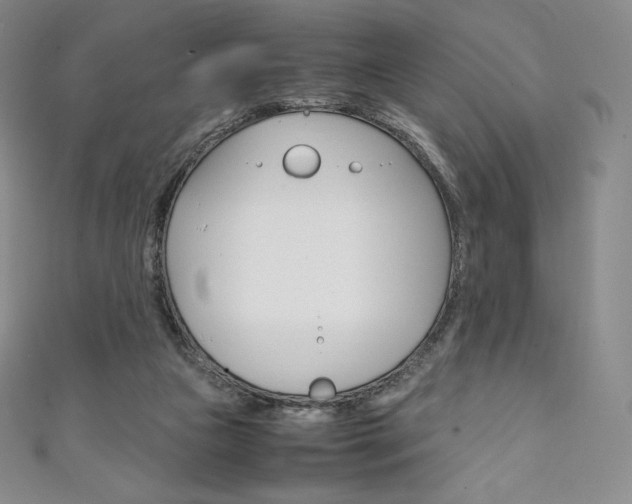 X0000111140161200906301024