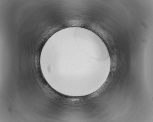X0000111140162200906301024