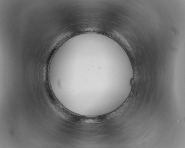 X0000111140163200906301024