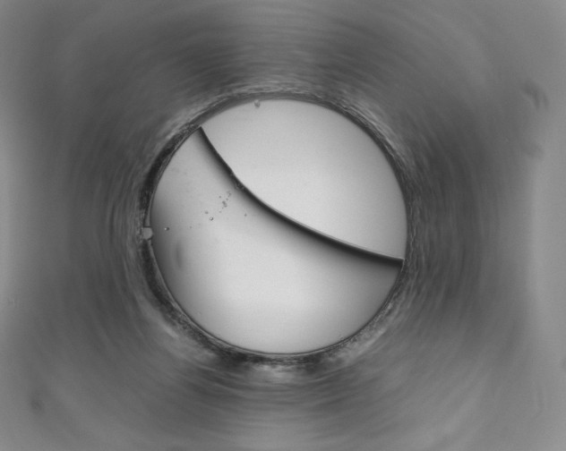 X0000111140164200906301024