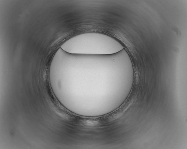 X0000111140165200906301024