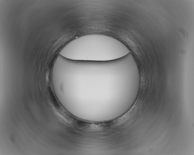 X0000111140166200906301024