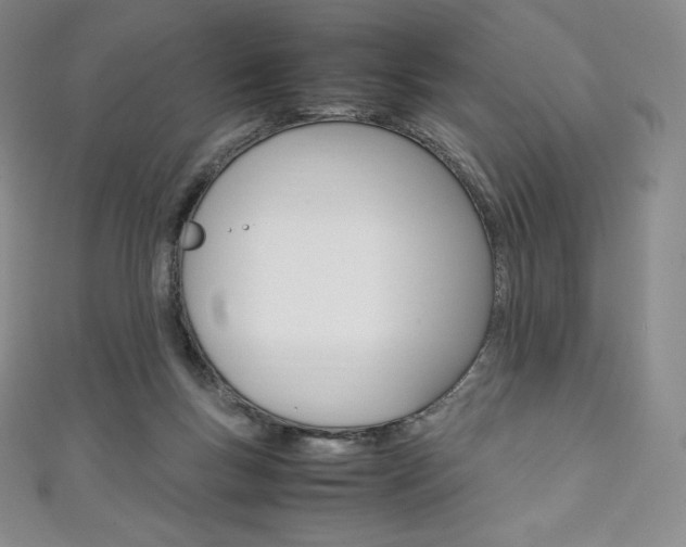 X0000111140167200906301024