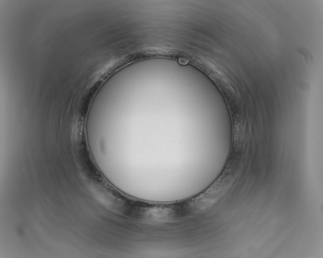 X0000111140168200906301024