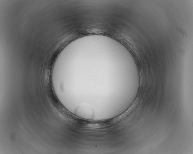 X0000111140171200906301024