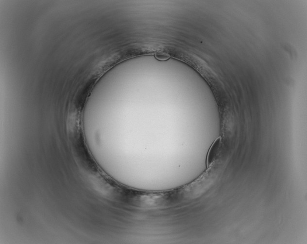 X0000111140172200906301024