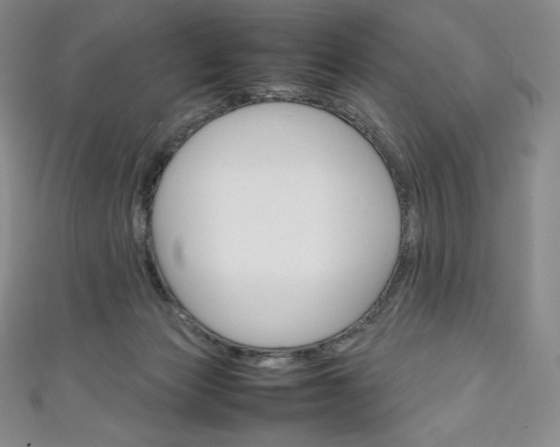 X0000111140173200906301024