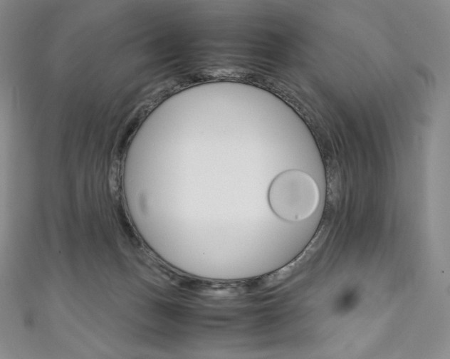 X0000111140175200906301024