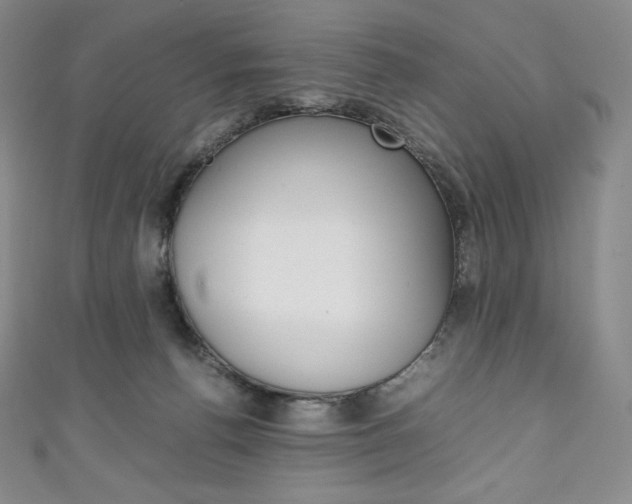 X0000111140176200906301024