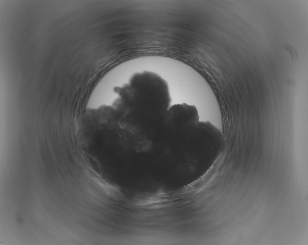 X0000111140179200906301024