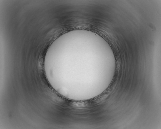 X0000111140181200906301024