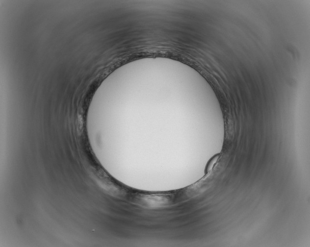 X0000111140183200906301024