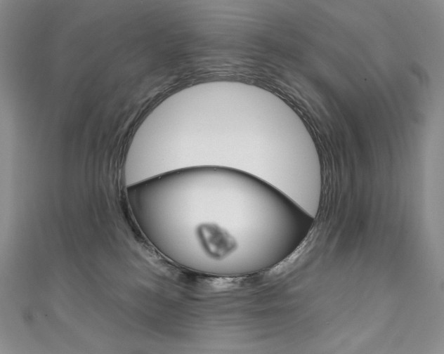 X0000111140184200906301024