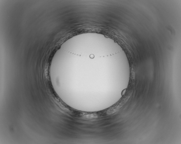 X0000111140185200906301024