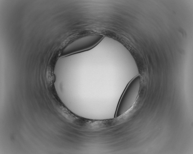 X0000111140186200906301024