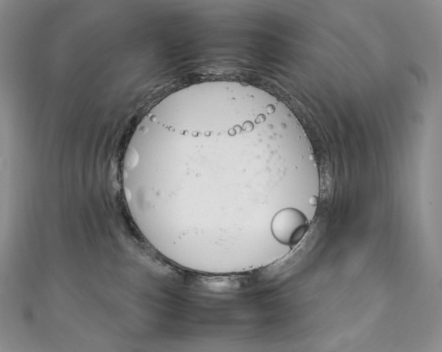 X0000111140187200906301024