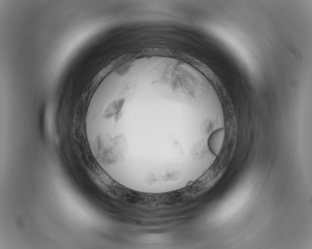 X0000111140189200906301024