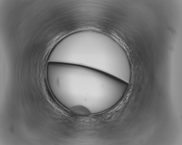 X0000111140193200906301024