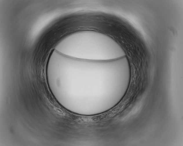 X0000111140194200906301024