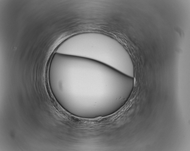 X0000111140195200906301024