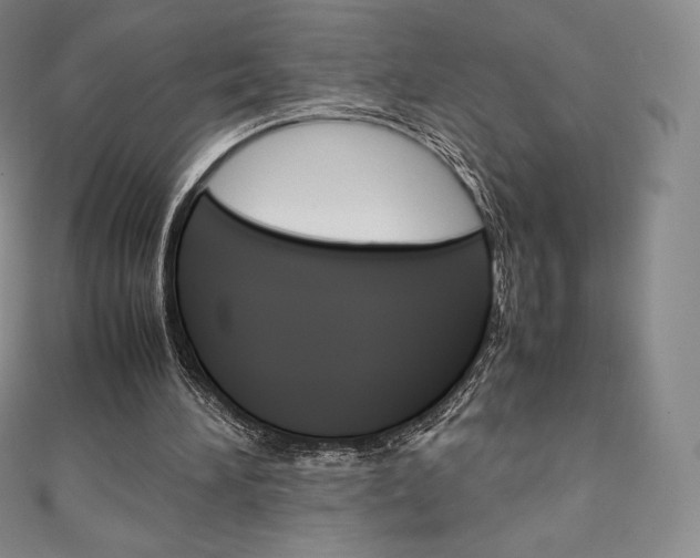 X0000111140196200906301024