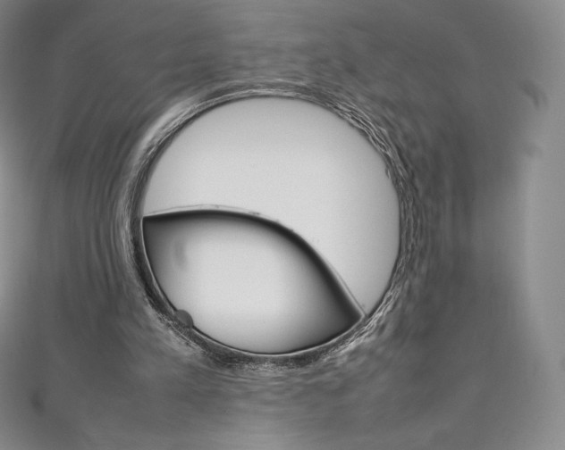 X0000111140197200906301024