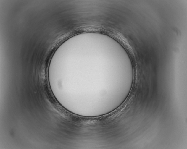 X0000111140202200906301024