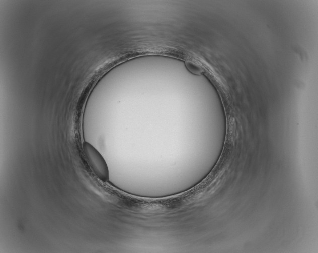 X0000111140203200906301024