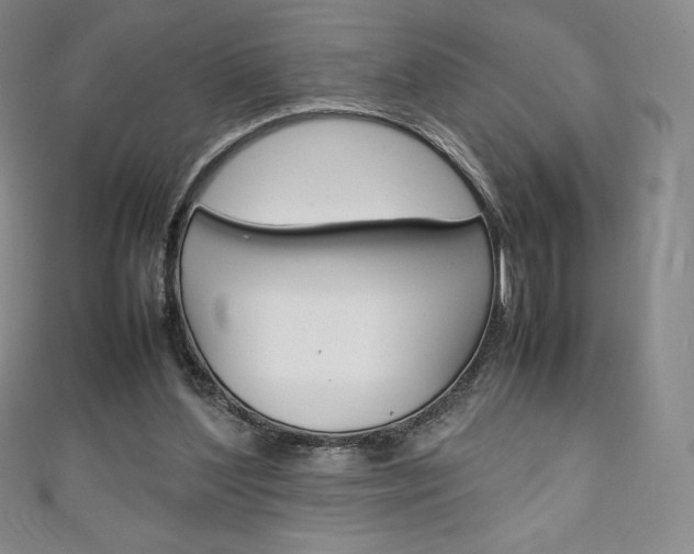 X0000111140204200906301024