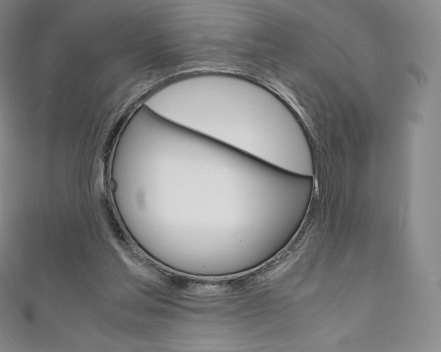X0000111140205200906301024