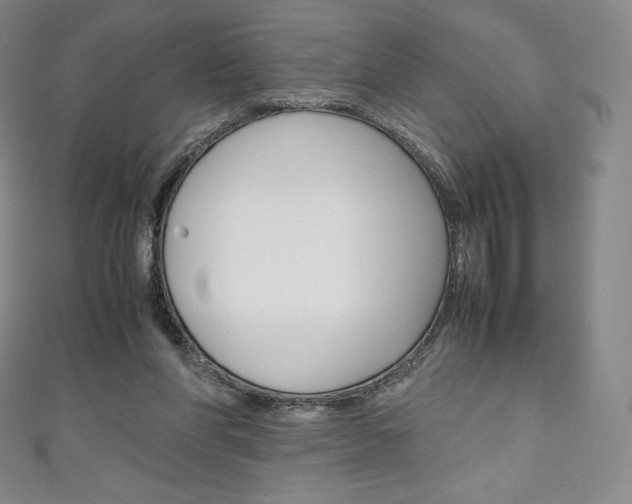 X0000111140206200906301024