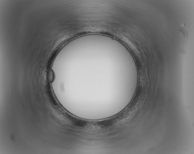 X0000111140207200906301024