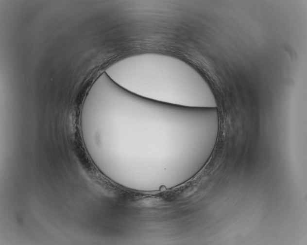 X0000111140210200906301024