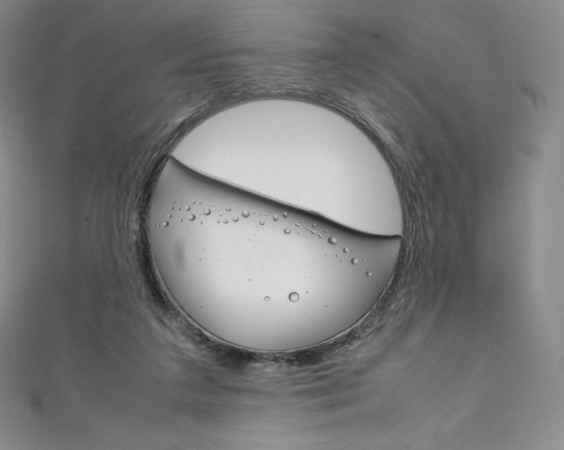 X0000111140211200906301023