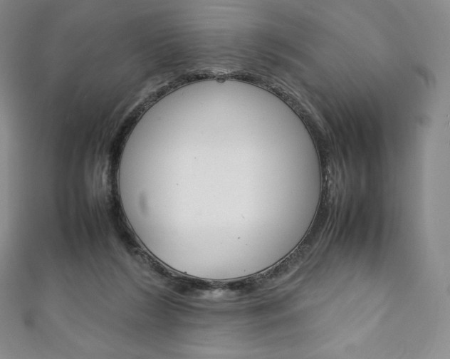 X0000111140212200906301023