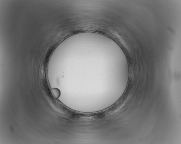 X0000111140213200906301023