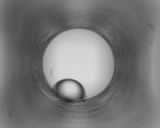 X0000111140215200906301023