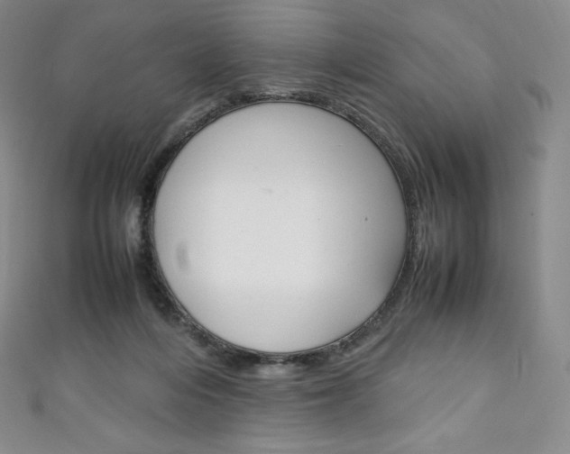 X0000111140216200906301023