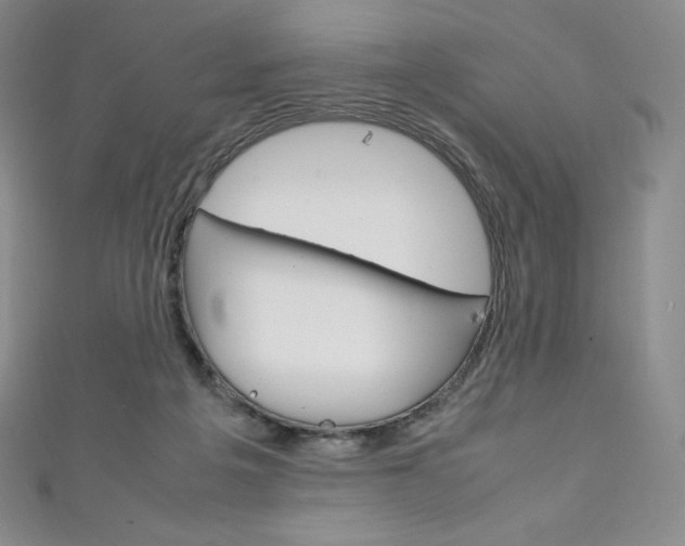 X0000111140217200906301023