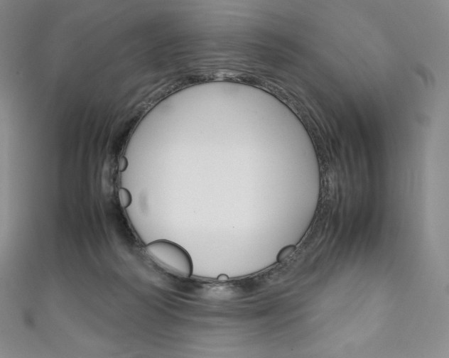 X0000111140218200906301023