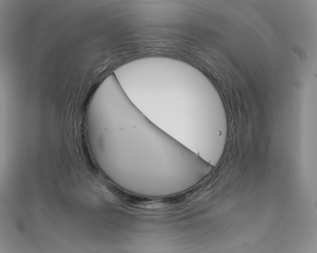 X0000111140219200906301023