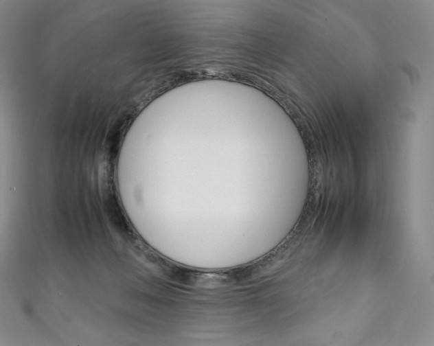 X0000111140222200906301023