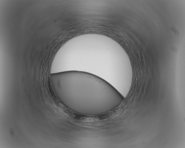 X0000111140223200906301023