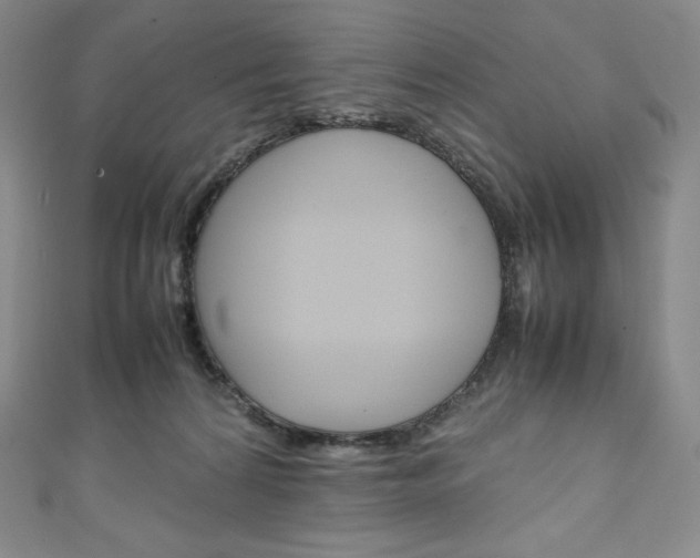 X0000111140224200906301023