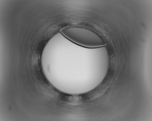 X0000111140225200906301023