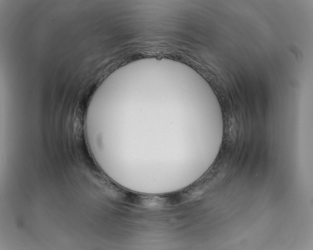 X0000111140226200906301023