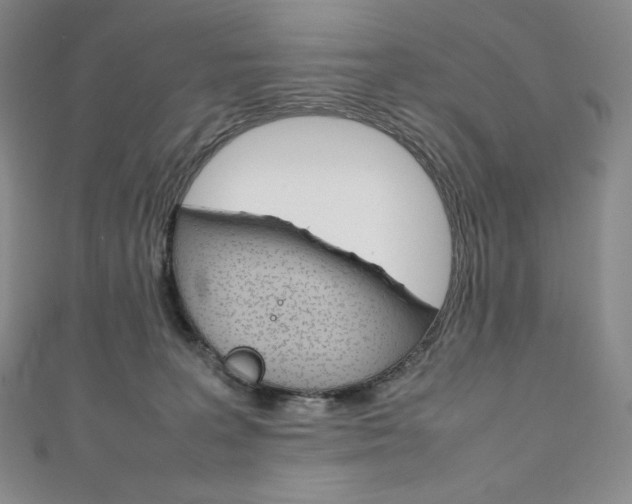 X0000111140227200906301023