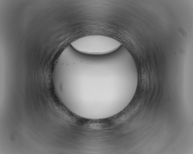 X0000111140228200906301023