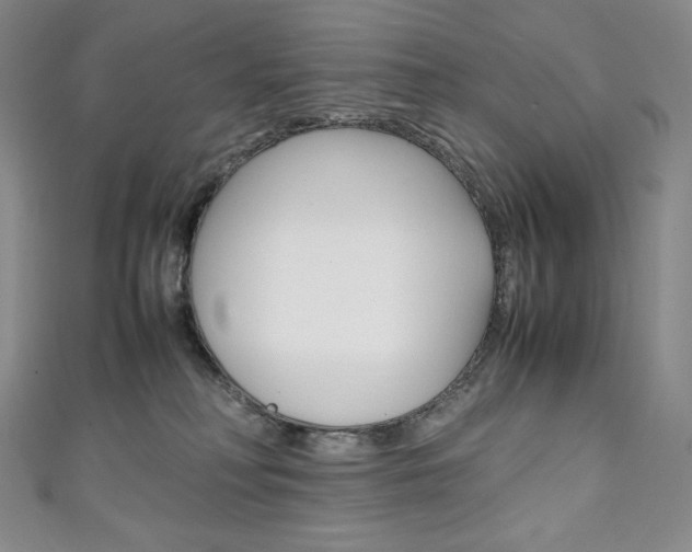 X0000111140230200906301023